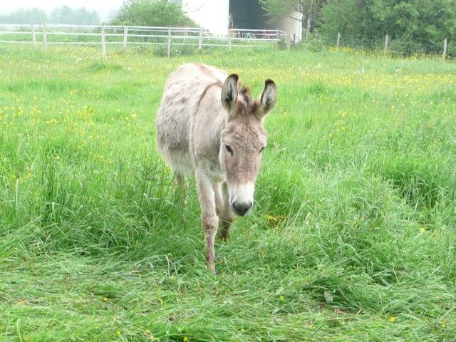 nettoyage mai 2012 (12).jpg